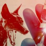 BNPB Menyiapkan Pembentukan Satgas untuk Penanganan Darurat Rabies