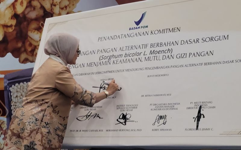 BPOM Mengawasi Pengembangan Sorgum demi Ketahanan Pangan Indonesia