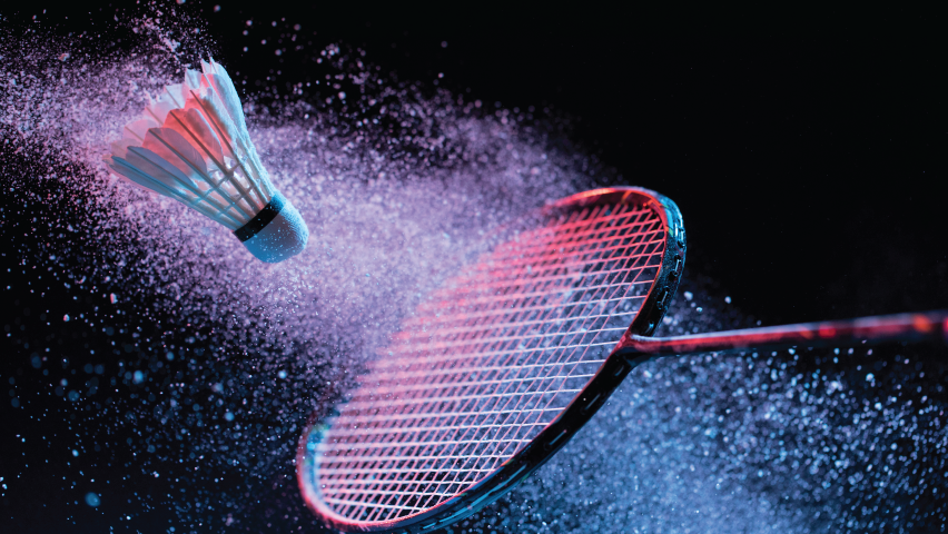 Indonesia Raih 8 Medali dalam Japan Para Badminton International