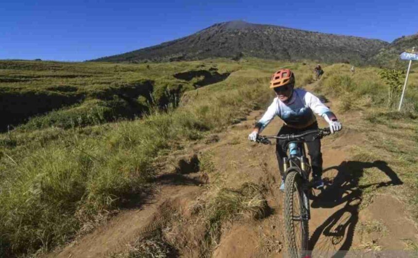 Peran Gaya Hidup Ramah Lingkungan dalam Mendukung Konsep Ekonomi Hijau