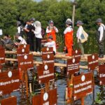 Perusahaan Internasional Mendukung Program Konservasi Mangrove di Indonesia