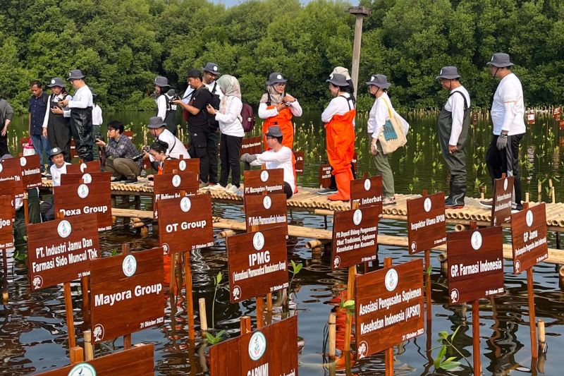 Perusahaan Internasional Mendukung Program Konservasi Mangrove di Indonesia