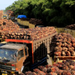 1.000 Petani Bersiap Meriahkan Pertemuan Nasional Petani Sawit 2023