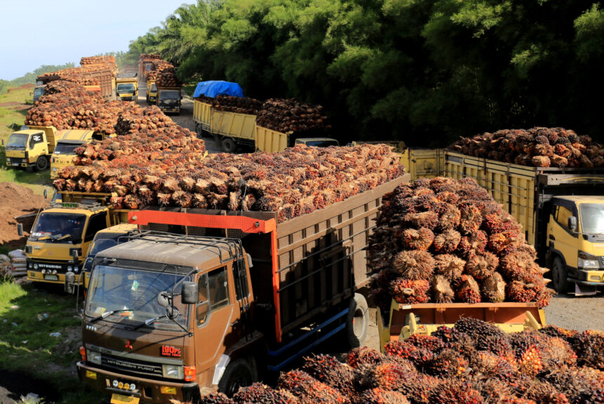 1.000 Petani Bersiap Meriahkan Pertemuan Nasional Petani Sawit 2023