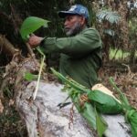 Akselerasi Papua melalui Energi dan Gastrodiplomasi
