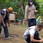 Mendorong Kesadaran Masyarakat dalam Memahami Mitigasi Bencana