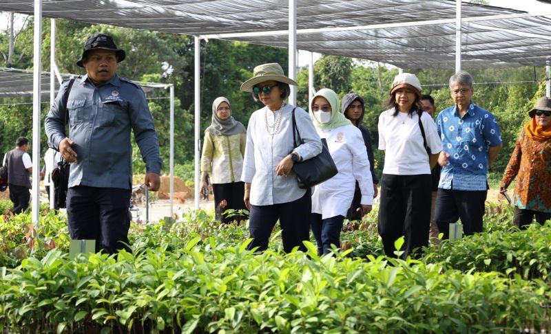 PBB Melakukan Kunjungan ke IKN untuk Menilai Implementasi Visi Pembangunan Berkelanjutan
