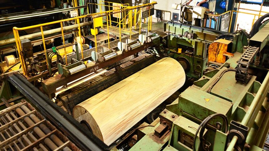 Pemerintah Rencanakan Pembangunan Kawasan Ekonomi Khusus untuk Industri Kayu