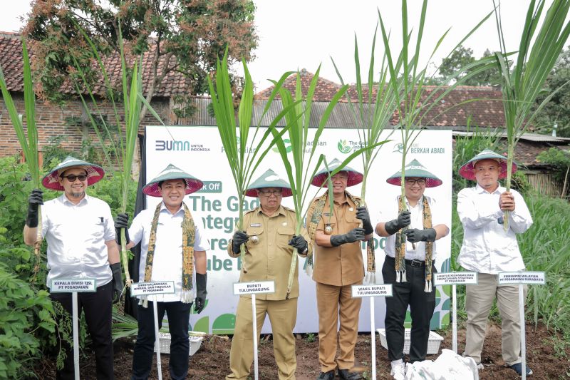 Pertanian Terpadu PT Pegadaian Sebagai Representasi Kondisi Geografis