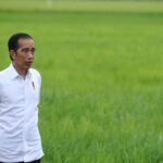 Presiden Jokowi Berkomitmen Menambah Subsidi Pupuk demi Kesejahteraan Petani