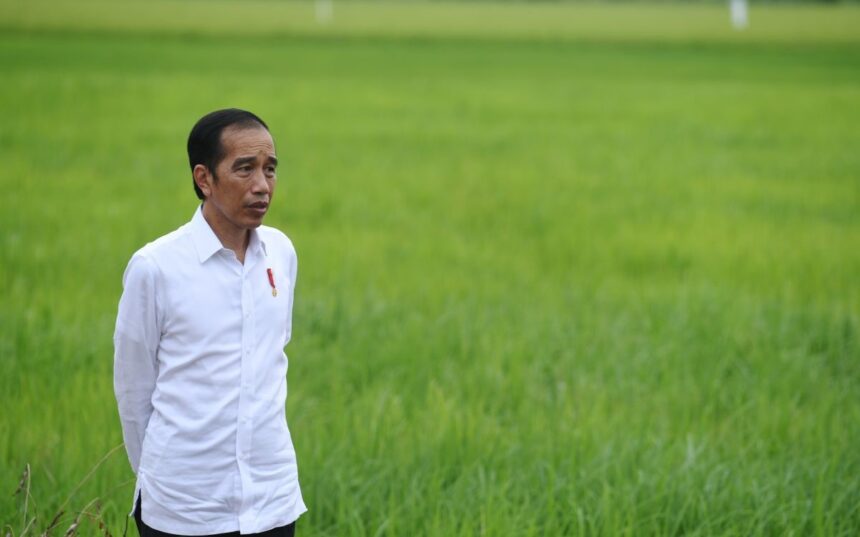 Presiden Jokowi Berkomitmen Menambah Subsidi Pupuk demi Kesejahteraan Petani