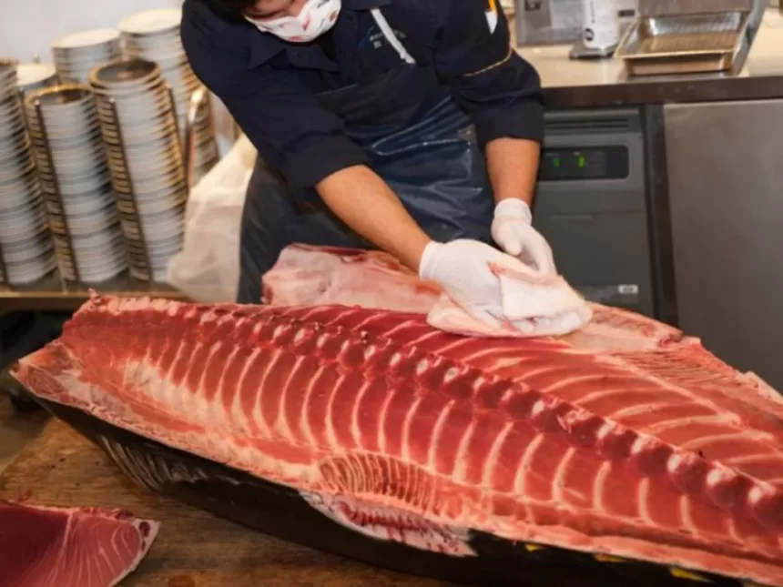 Indonesia dan Jepang Setujui Tarif Ekspor 0% untuk Produk Perikanan Tuna