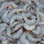 KKP Membuka Peluang Akses Pasar Alternatif bagi Ekspor Udang