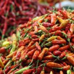 Kemendag Mempertahankan Stabilitas Harga Cabai Melalui Subsidi dari Daerah Produsen