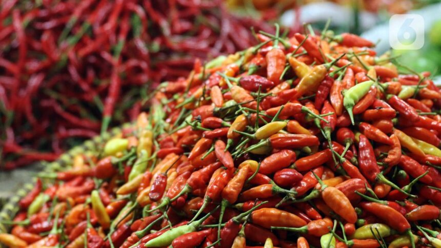 Kemendag Mempertahankan Stabilitas Harga Cabai Melalui Subsidi dari Daerah Produsen