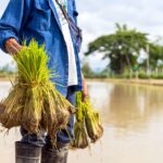 Kementerian Pertanian Berkolaborasi dengan Petani Muda sebagai Duta Pertanian