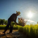 Kerja Sama Indonesia dan FAO untuk Menciptakan Generasi Petani Muda