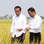 Menteri Pertanian Ungkap Kasih Sayang Presiden Jokowi Terhadap Petani