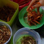 PDPOTJI Ungkap Keandalan Jamu dalam Menyembuhkan Beberapa Jenis Penyakit