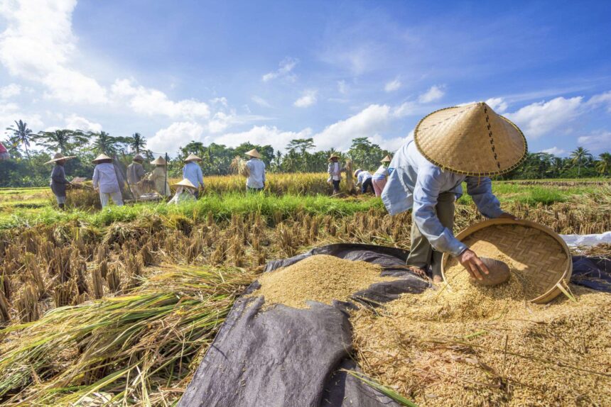 Pemikiran dan Komitmen Para Capres Terhadap Pengembangan Petani Indonesia