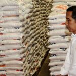 Presiden Jokowi : Bantuan Pangan Pemerintah Adalah Beras Premium