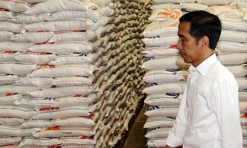Presiden Jokowi : Bantuan Pangan Pemerintah Adalah Beras Premium