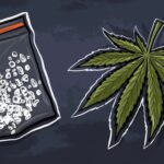 BNN Menghancurkan 42 Kilogram Barang Bukti Narkotika, Termasuk Sabu dan Ganja