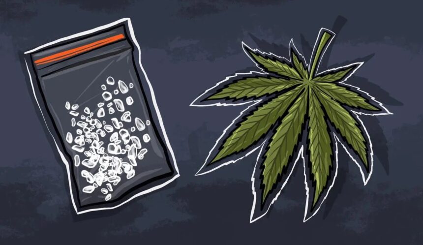 BNN Menghancurkan 42 Kilogram Barang Bukti Narkotika, Termasuk Sabu dan Ganja