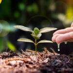 CropLife : Pentingnya Benih Bioteknologi dalam Memperkuat Ketahanan Pangan
