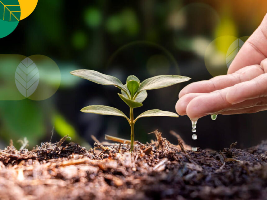 CropLife : Pentingnya Benih Bioteknologi dalam Memperkuat Ketahanan Pangan
