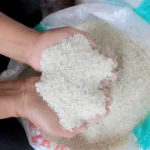 Kepala Bapanas Menyatakan Pentingnya Bantuan Pangan Beras