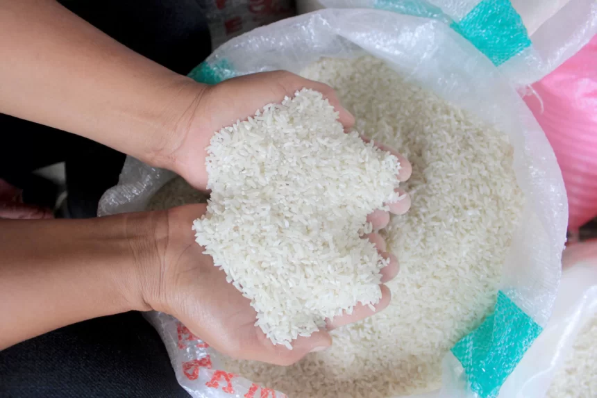 Kepala Bapanas Menyatakan Pentingnya Bantuan Pangan Beras