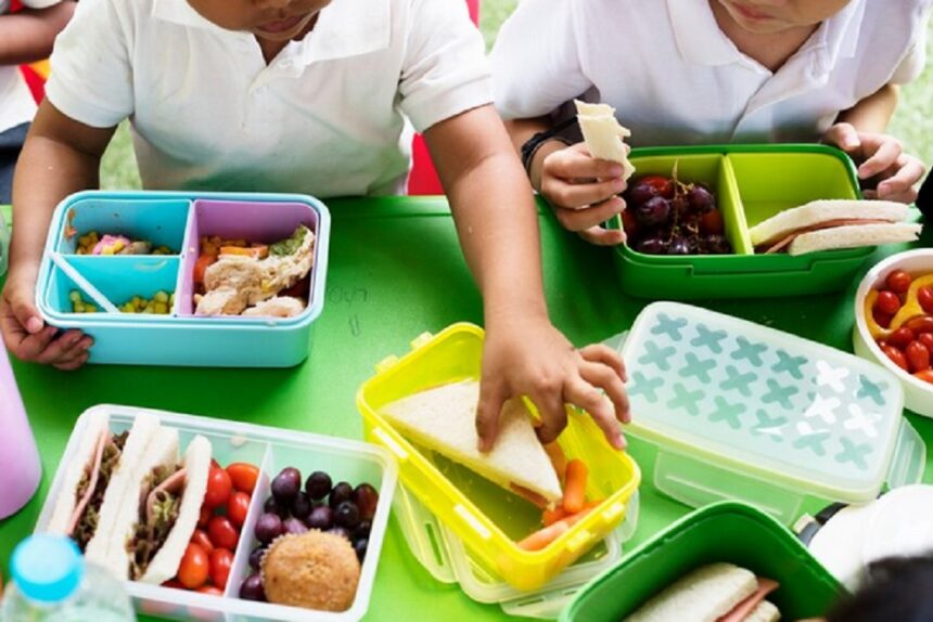Menkes : Pemenuhan Gizi Melalui Program Makan Siang Gratis Belum Dibahas