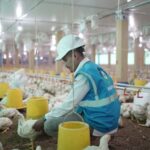 PLN Mendukung Pengentasan Kemiskinan Melalui Program EA