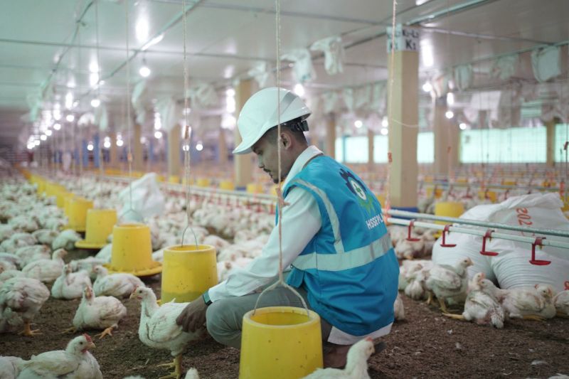 PLN Mendukung Pengentasan Kemiskinan Melalui Program EA