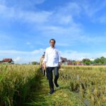 Presiden Jokowi Minta Gagal Panen Tidak Mengurangi Produksi Secara Signifikan