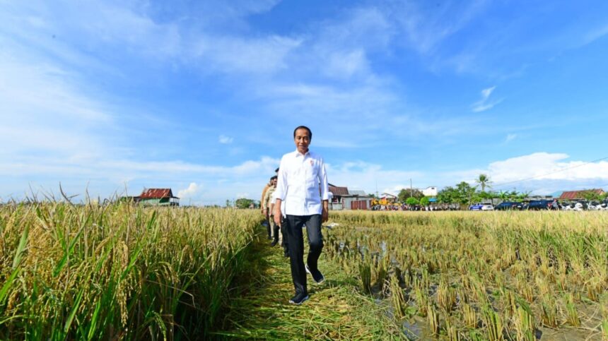 Presiden Jokowi Minta Gagal Panen Tidak Mengurangi Produksi Secara Signifikan