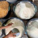 Bapanas : Relaksasi HET sebagai Jaminan Ketersediaan Stok Beras