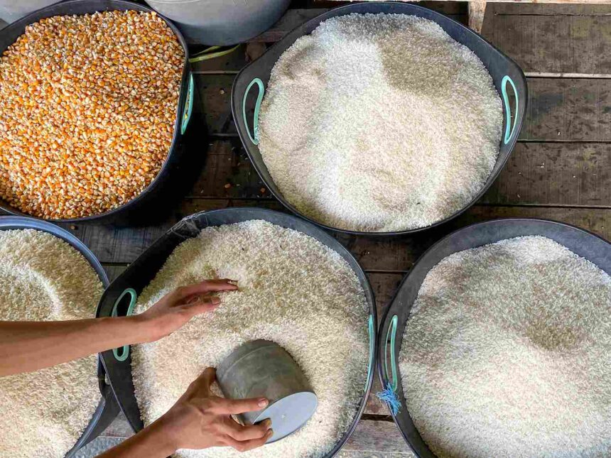 Bapanas : Relaksasi HET sebagai Jaminan Ketersediaan Stok Beras