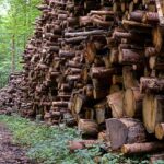 Integrasi Geolokasi oleh KLHK dalam Sistem Informasi Hasil Hutan