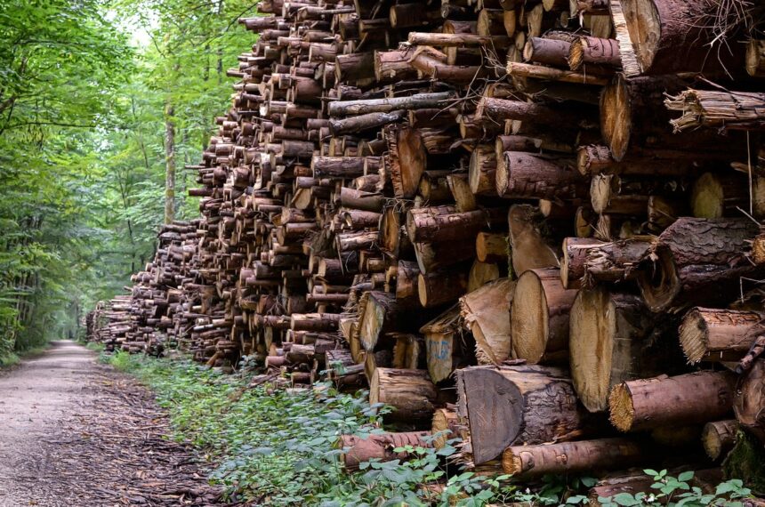 Integrasi Geolokasi oleh KLHK dalam Sistem Informasi Hasil Hutan