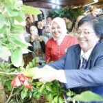 KLHK Menggelar Pasar RHL Menyajikan Produk Pertanian Agroforestri