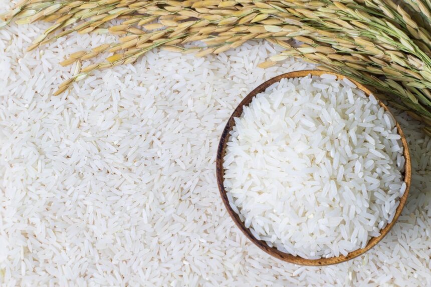 Kemendagri Meminta Pemda Melakukan Operasi Pasar untuk Mengendalikan Harga Beras