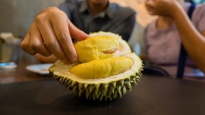 Penjelasan Ahli Gizi Mengenai Konsumsi Durian saat Berbuka Puasa