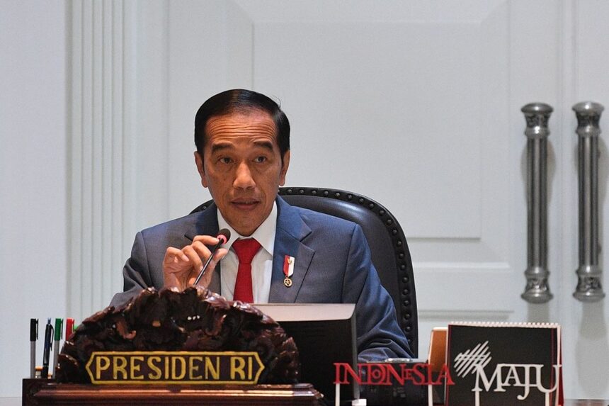 Presiden Jokowi Minta Percepatan Penyediaan Lahan untuk Investasi di IKN