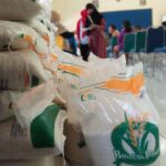 Bapanas : Penyaluran Bantuan Beras 10 kg Dimulai Sebelum Agenda Politik