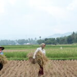 Kementerian PUPR Membangun Infrastruktur Air untuk Meningkatkan Produksi Pangan