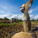 Kementerian Pertanian Menangani Penurunan Produksi Pertanian
