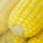 Manfaat Kesehatan Usus & Pencernaan dari Mengonsumsi Jagung