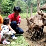 Mengajak Anak untuk Aktif Bergerak Selama 3 Jam Sehari demi Tumbuh Kembangnya